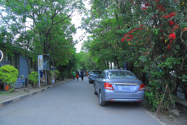 Green view 